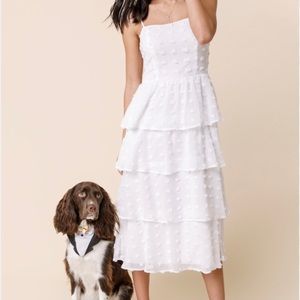 🤍 NWT Francesca’s white polka dot midi dress 🤍